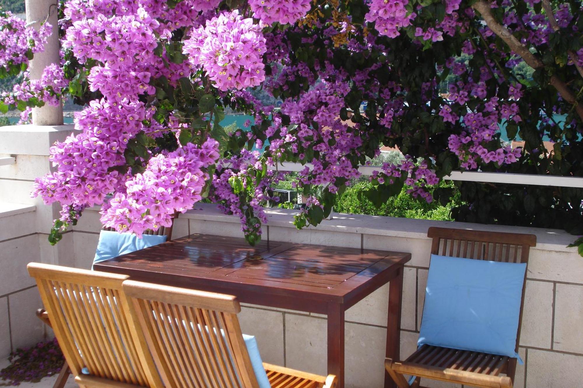 Apartments Husanovic Mokošica Zewnętrze zdjęcie