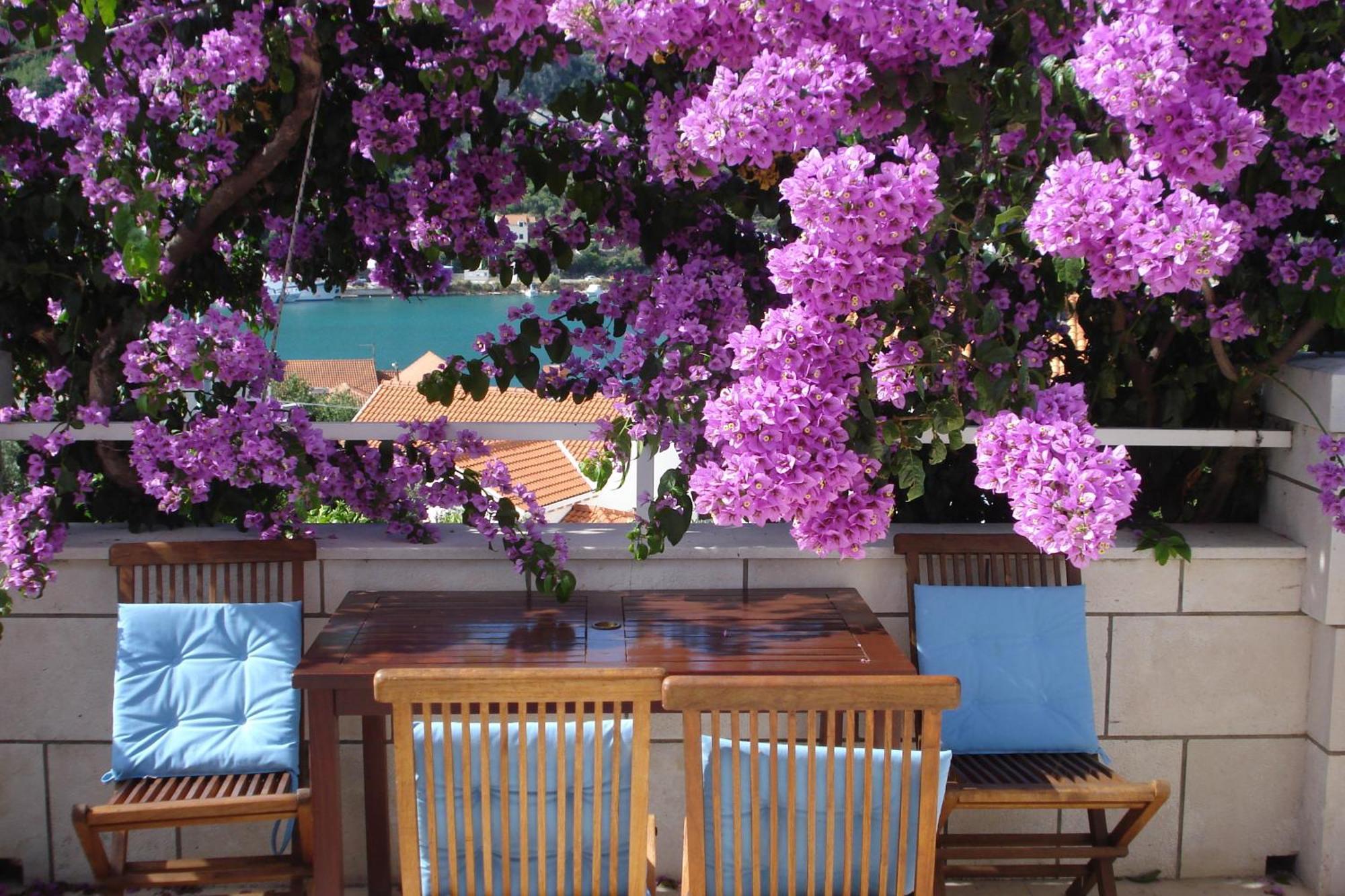 Apartments Husanovic Mokošica Zewnętrze zdjęcie