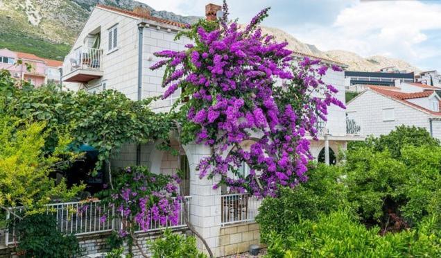 Apartments Husanovic Mokošica Pokój zdjęcie